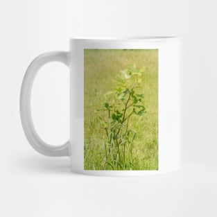 ibs tulip tree Mug